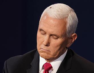 Click image for larger version

Name:	Fly on Pence.jpg
Views:	333
Size:	23.0 KB
ID:	925258